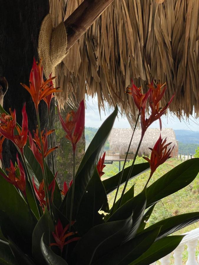 La Manola Finca Hotel Doradal ภายนอก รูปภาพ